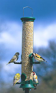 4 Port Plastic Seed Feeder (Challenger 2)